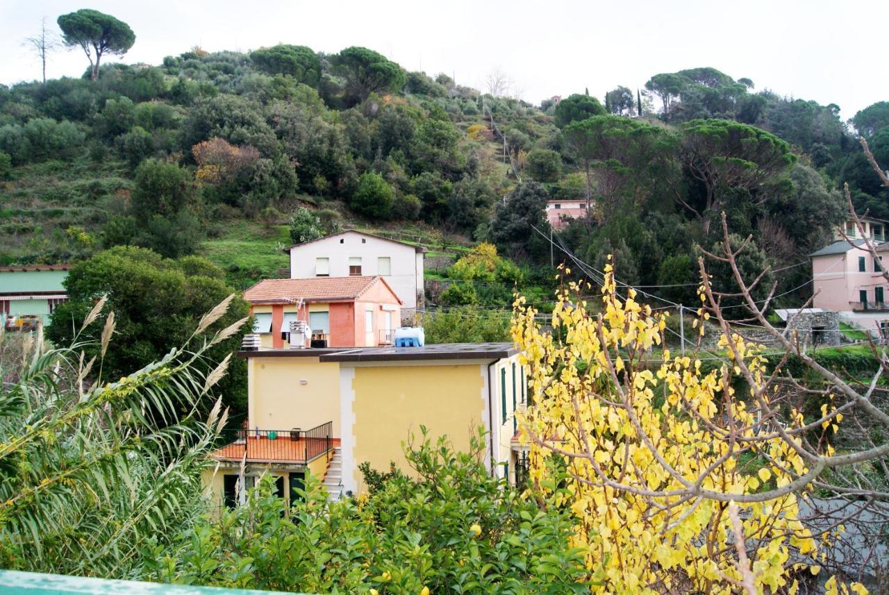 Chez Sylviehouse Apartment Monterosso al Mare Exterior foto